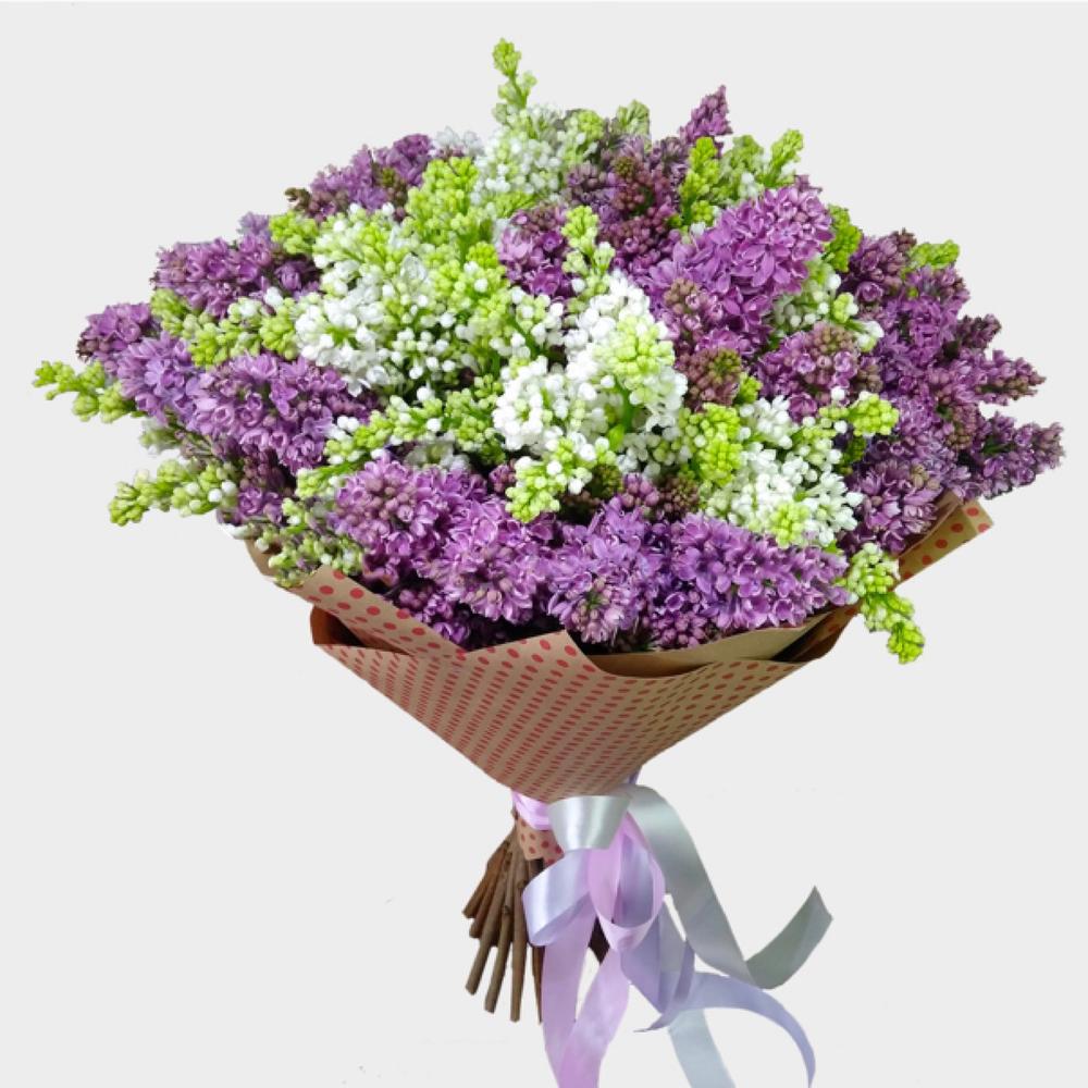 Букет из 15 веток белой и сиреневой сирени